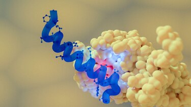 Svetlana Mojsov, la científica que descubrió la hormona GLP-1 usada en medicamentos contra la diabetes e inyecciones para bajar de peso (y que casi borran de la historia)