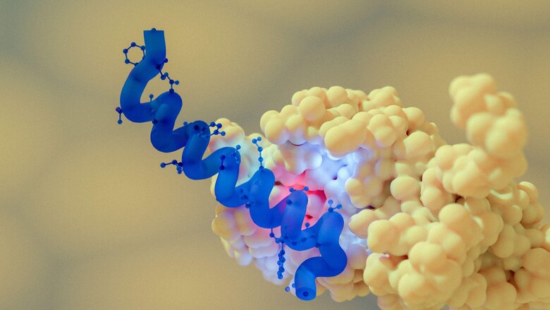 Svetlana Mojsov, la científica que descubrió la hormona GLP-1 usada en medicamentos contra la diabetes e inyecciones para bajar de peso (y que casi borran de la historia)