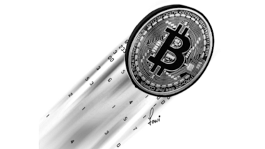 Bitcoines y tulipanes