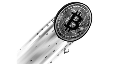 Bitcoines y tulipanes