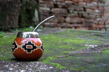 La yerba mate, el ‘oro verde’ que nutre los paisajes del noreste argentino