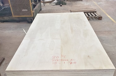 Panamá industrializa madera certificada para enviar a Europa