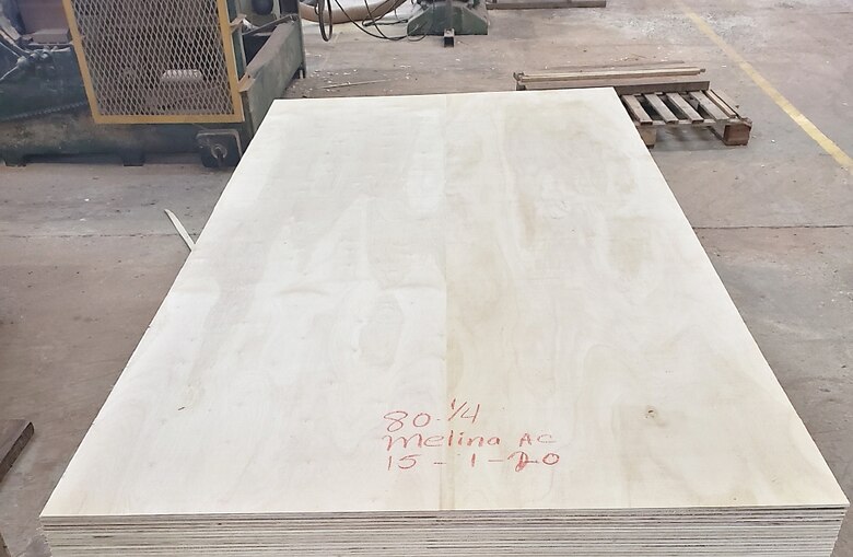 Panamá industrializa madera certificada para enviar a Europa