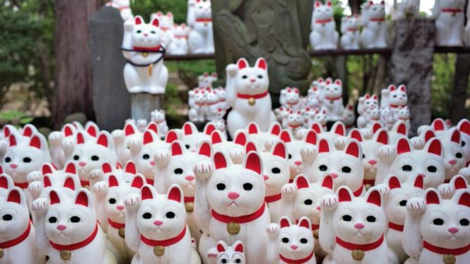 En Tokio, un templo de ‘gatos de la suerte’ atrae a ‘instagramers’