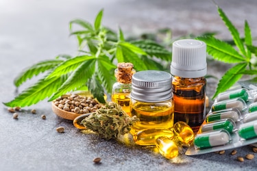 Cannabis medicinal en Panamá: ¿por qué las licencias siguen en pausa? 