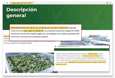 Cannabis medicinal, negocio de miles de millones de dólares