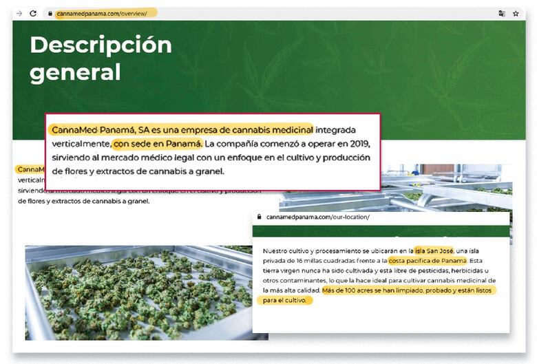 Cannabis medicinal, negocio de miles de millones de dólares