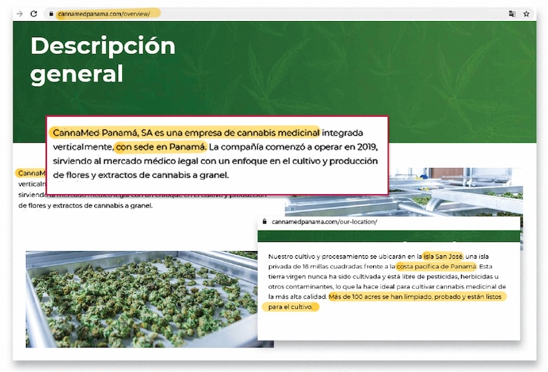 Cannabis medicinal, negocio de miles de millones de dólares
