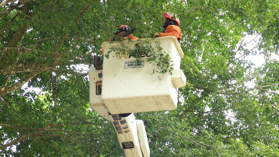 Trabajos de mantenimiento en la red eléctrica del 19 al 25 de mayo 2025
