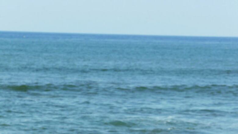 Un pacífico salvaje