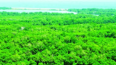 Recomiendan rechazar concesión en isla de Cañas