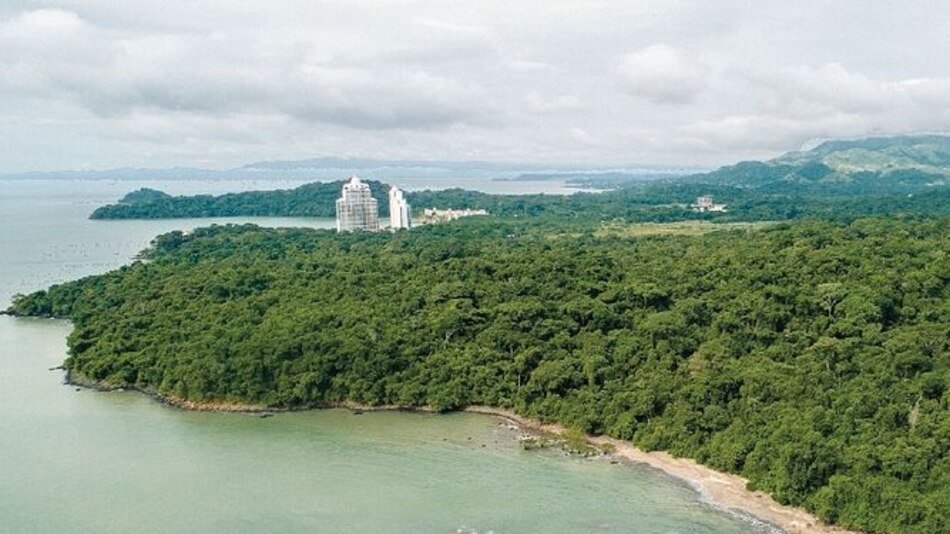 UABR subastará 60 lotes en el 2020