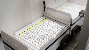 OMS denuncia el mal uso de los antibióticos
