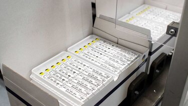 OMS denuncia el mal uso de los antibióticos