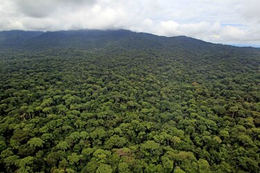 El Clan del Golfo desafía a Panamá: minas, adoctrinamiento de nacionales y tráfico de drogas