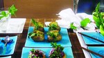 Cocina Gourmet: ¡Estoy a dieta!