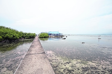 Amparo contra proyecto portuario en isla Margarita, Colón