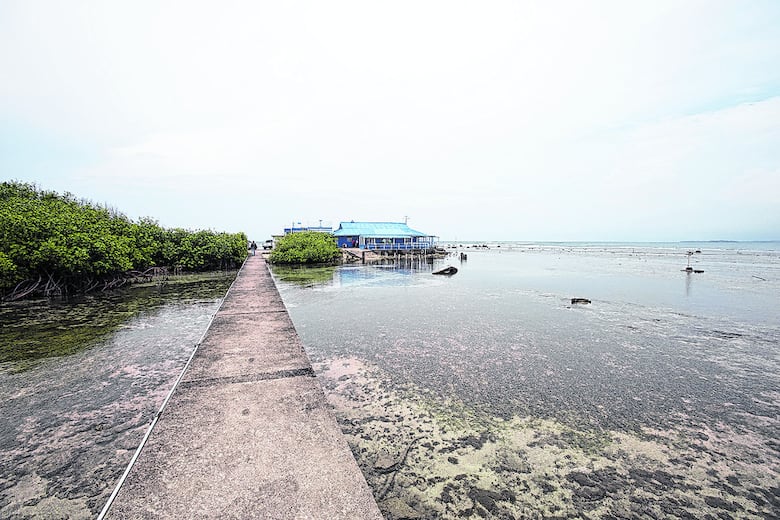 Amparo contra proyecto portuario en isla Margarita, Colón