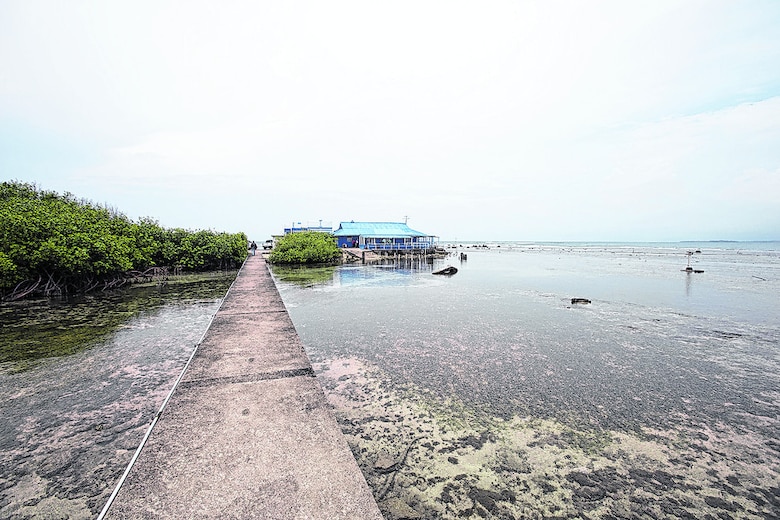 Amparo contra proyecto portuario en isla Margarita, Colón