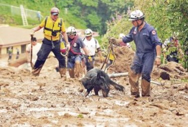 Sigue la búsqueda de víctimas en Costa Rica