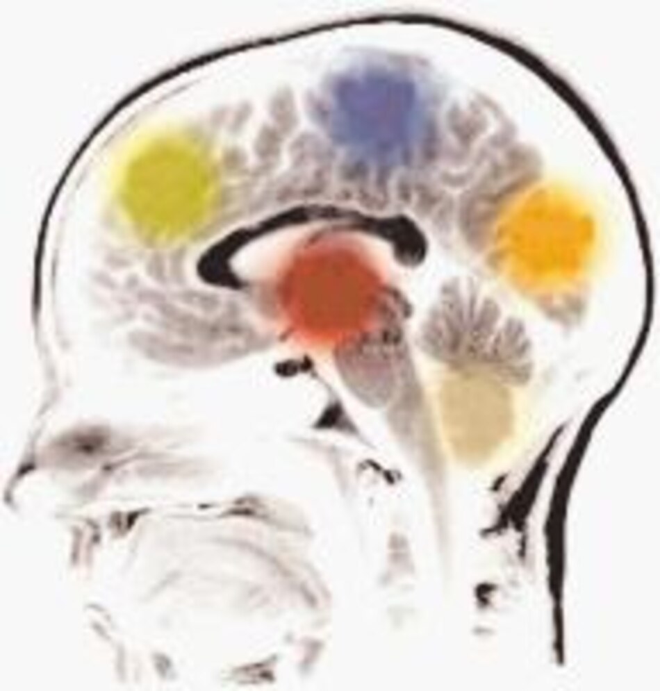 La neuroterapia: un tratamiento alternativo