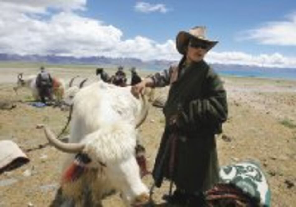 El comercio del yak