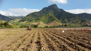 Productores chiricanos desconfían del diálogo por el agro