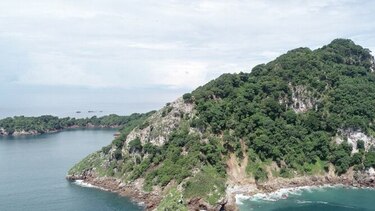 Centro de Incidencia Ambiental presenta denuncia administrativa por supuesta tala en isla Boná