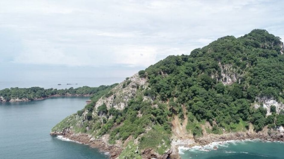 Centro de Incidencia Ambiental presenta denuncia administrativa por supuesta tala en isla Boná