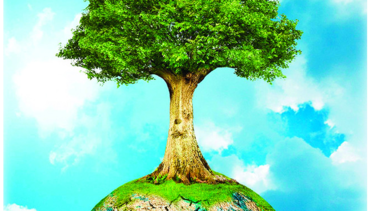 Subsidio contra el cambio climático