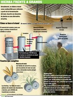 Paja canalera, fuente de energía