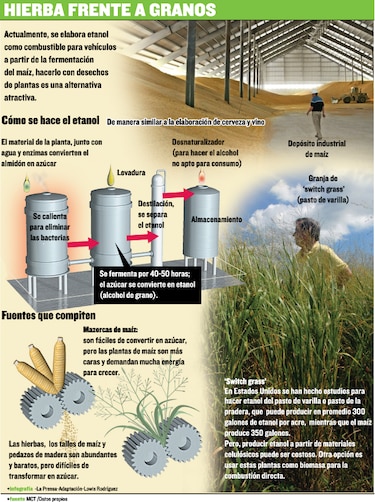 Paja canalera, fuente de energía