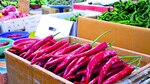 El desafío de crecer y subsistir