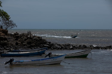 Abogan por incrementar y cuidar el patrimonio biodiverso del océano