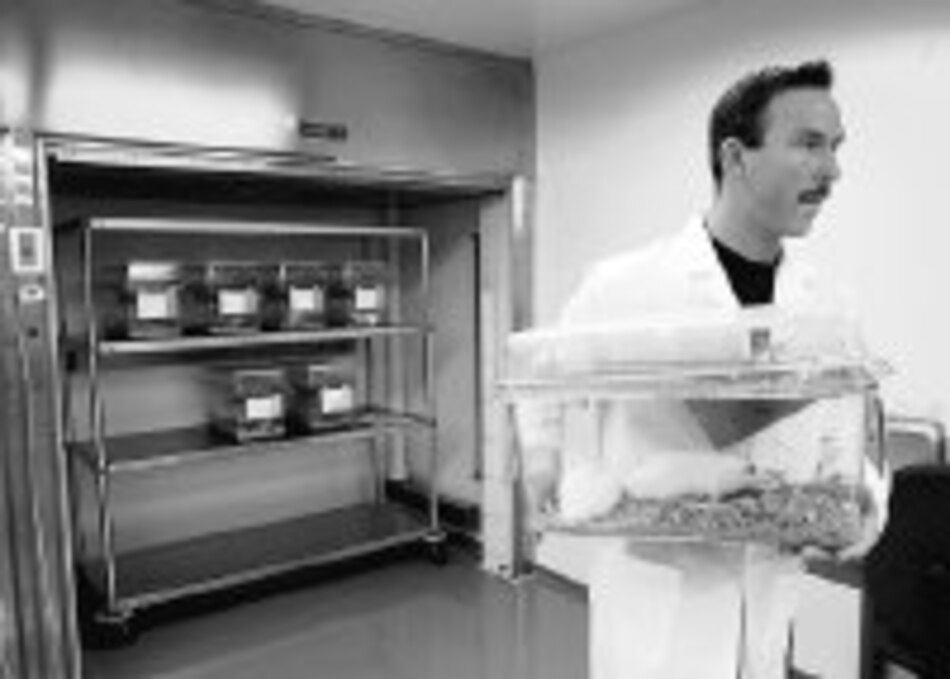 El cerebro y los ‘deja vu’