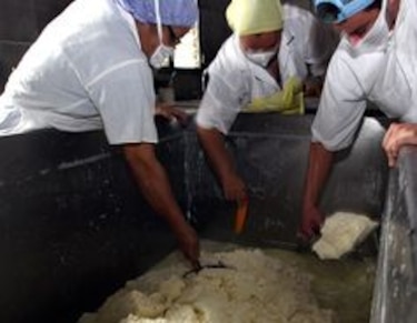 La labor detrás del queso blanco artesanal
