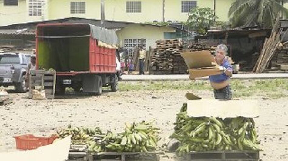 Comerciantes deben cumplir normas