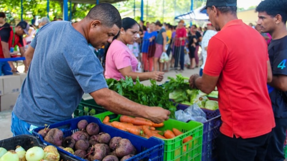 IMA: calendario y lugares de venta de las Agroferias para este jueves 16 de octubre