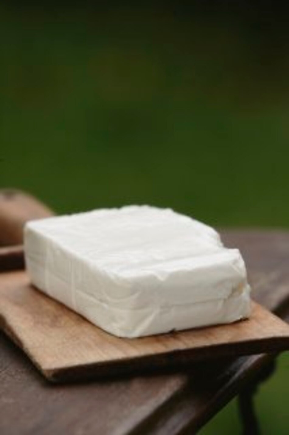 Hondureños abren fábrica de quesos en EU