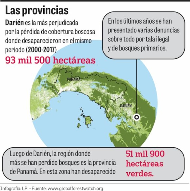 El país perdió 352 mil hectáreas en 18 años