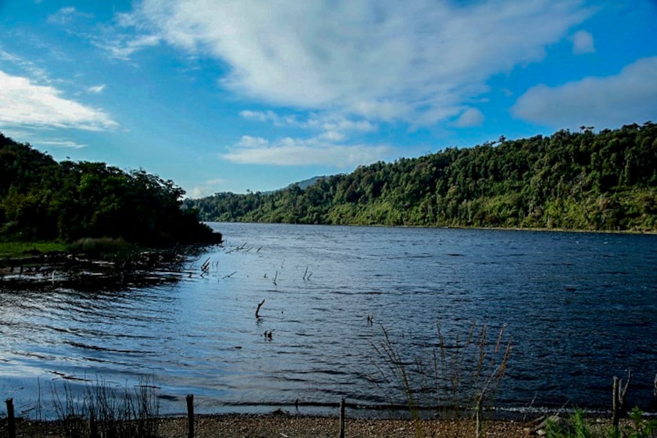 Chile crea un santuario para proteger un humedal en el archipiélago de Chiloé