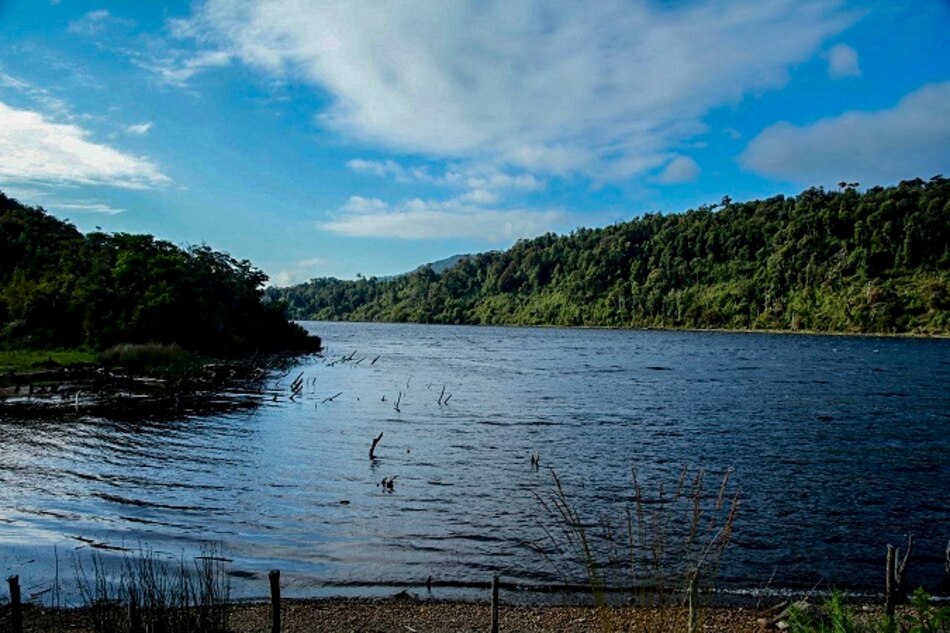 Chile crea un santuario para proteger un humedal en el archipiélago de Chiloé