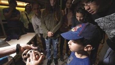 La noche es de los murciélagos