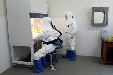 OMS: Miles de vacunas contra el ébola estarán disponibles en unos meses