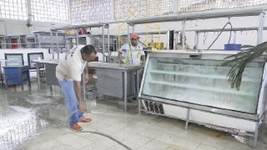 Autoridades permiten la reapertura de mercado
