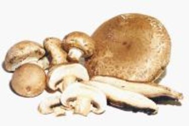 Hongos: Portobelo y Cremini