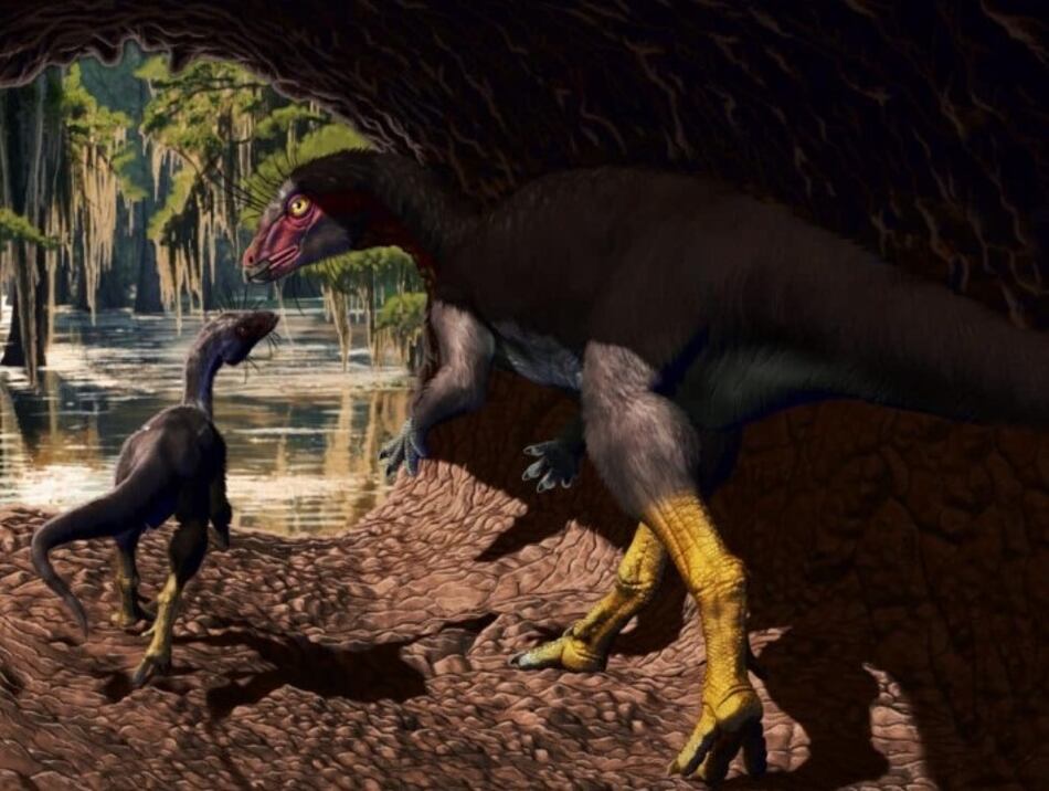 Nueva especie de dinosaurio que vivió en madrigueras