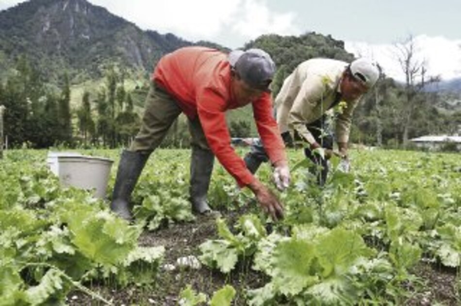 ‘Código Agrario’, con materias pendientes al adjudicar tierras