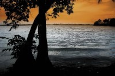 La cuenca olvidada que puede detener al Canal