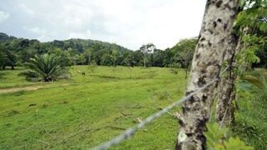 Estamos titulando a todos sin discriminación: Castillero